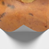 Poster Sur Bois Fallen Maple Feuille Jaune Automne Nature (Coin)