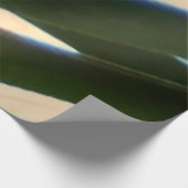 Poster Sur Bois Overlapping Palm Fronds Tropical Green Abstract (Coin)
