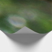 Poster Sur Bois Papillon Swallowtail I sur Milkweed à Shenandoah (Coin)