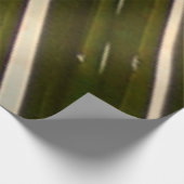 Poster Sur Bois Regard sur le palmier à coco Nature tropicale (Coin)