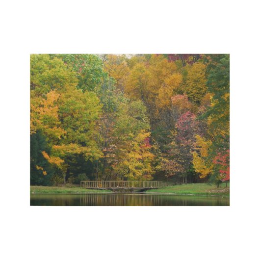 Poster Sur Bois Seven Springs Fall Bridge II Autumn Paysage (Devant)