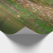 Poster Sur Bois Seven Springs Fall Bridge II Autumn Paysage (Coin)