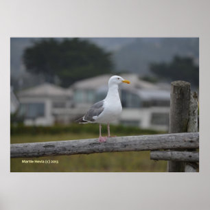 Poster Sur la clôture