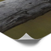 Poster Sur la clôture II - Poster/Imprimer (Coin)