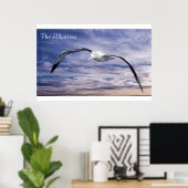 Poster sur la faune (Bureau à domicile)