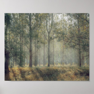 Poster sur la forêt d'arbres