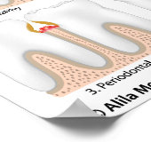 Poster sur la maladie parodontale (Coin)