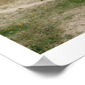 Poster sur la plage de Nairn (Coin)