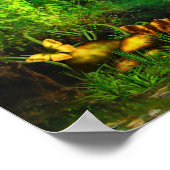 Poster sur l'arbre de guérison (Coin)