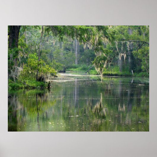 Poster Sur le Bayou (Devant)