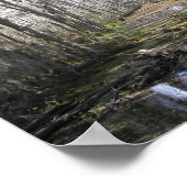 Poster Sur le Bayou (Coin)