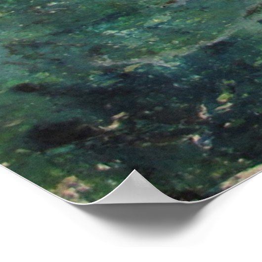 Poster Sur le Bayou (Coin)