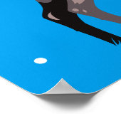 Poster sur le Cerf de Neige (Coin)