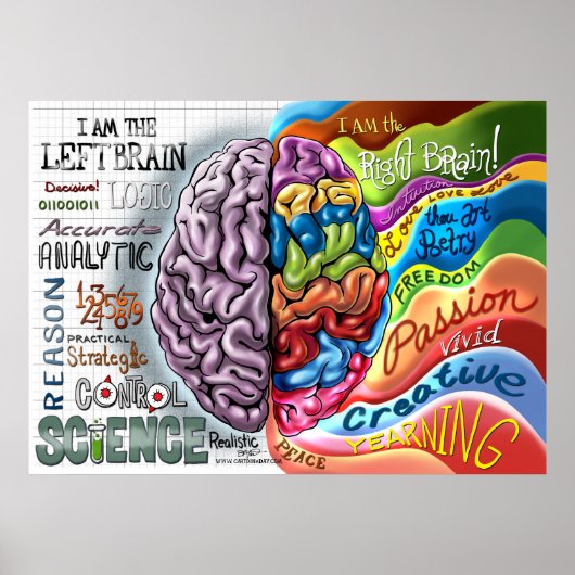 Poster sur le cerveau gauche (Devant)