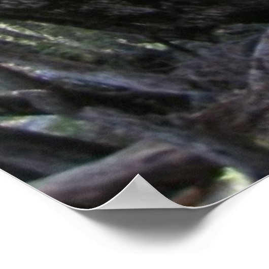 Poster sur le chemin avec Psaume 119:32 (Coin)