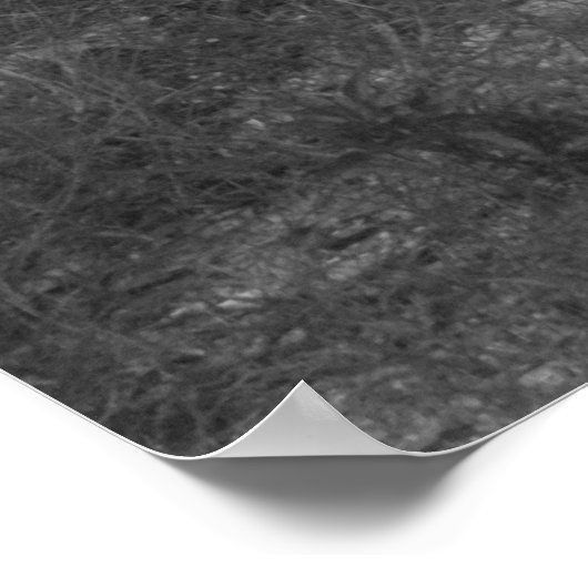 Poster sur le chemin de plage (Coin)