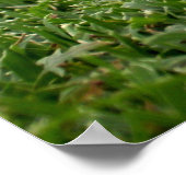 Poster sur le golf (Coin)