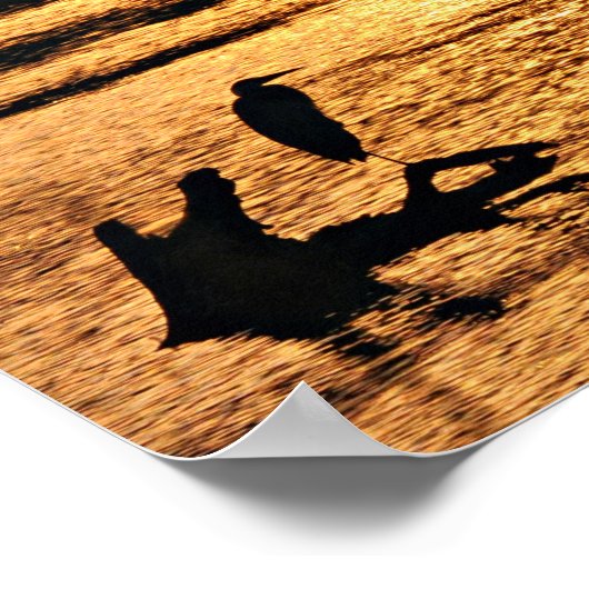 Poster Sur le lac d'or (Coin)