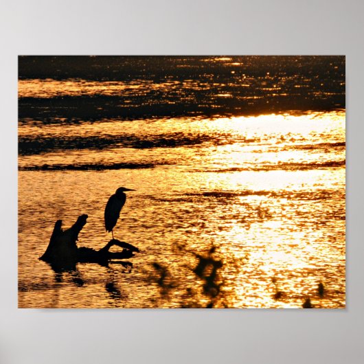 Poster Sur le lac d'or (Devant)