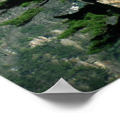 Poster Sur le pic - Huangshan (Coin)