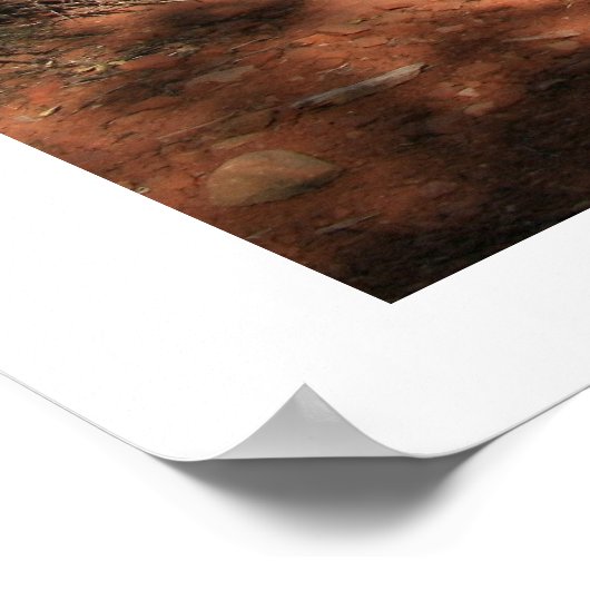 Poster Sur le pont du diable (Coin)