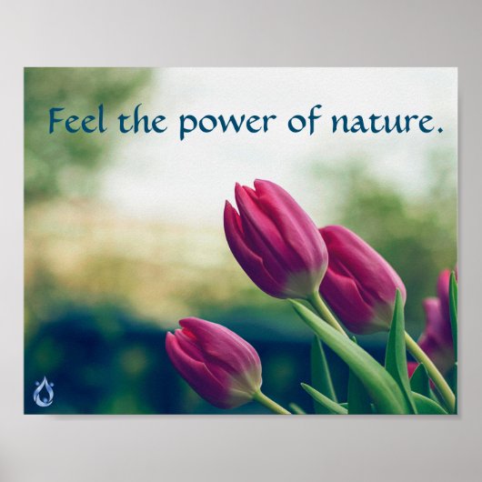 Poster sur le pouvoir de la nature (Devant)