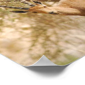 Poster Sur le rocher (Coin)