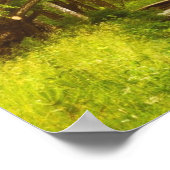 Poster sur le ruisseau du Saule (Coin)