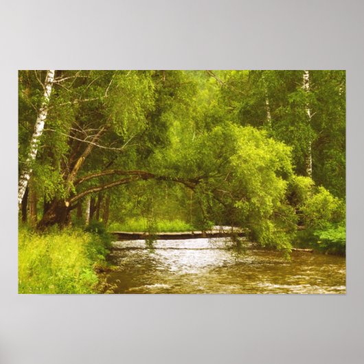 Poster sur le ruisseau du Saule (Devant)