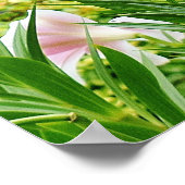 Poster sur le terrain (Coin)