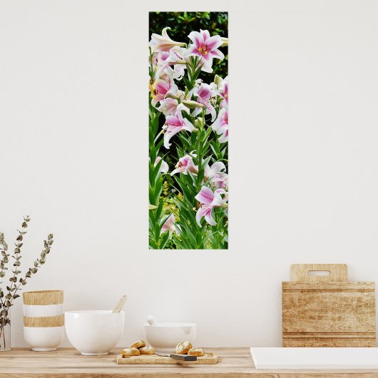 Poster sur le terrain (Cuisine)