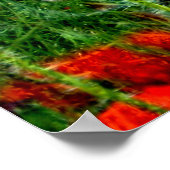 Poster sur le terrain (Coin)