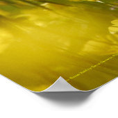 Poster sur le terrain de fleurs jaunes (Coin)