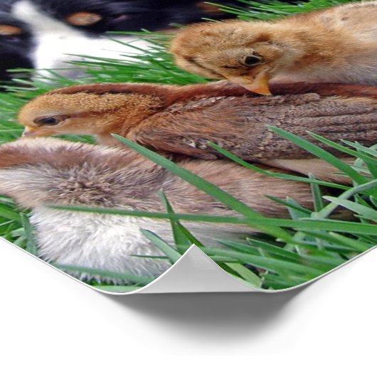 Poster Sur le travail (Coin)