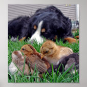 Poster Sur le travail (Devant)