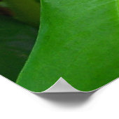 Poster Sur le vert (Coin)