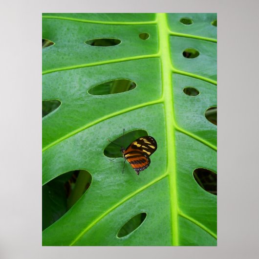 Poster Sur le vert (Devant)