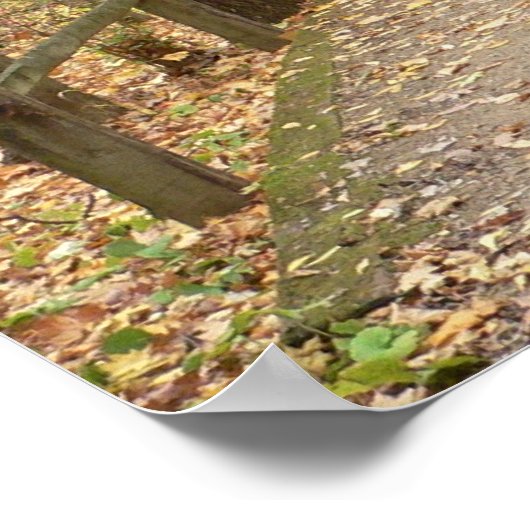 Poster sur l'émotion d'automne (Coin)