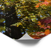 Poster Sur Les Arbres (Coin)