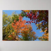 Poster Sur Les Arbres (Devant)