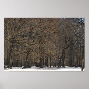 Poster sur les arbres du parc et la neige