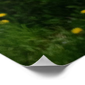 Poster Sur les branches de fleurs (Coin)
