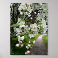 Sur les branches de fleurs