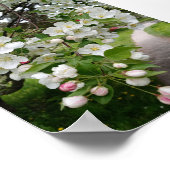 Poster Sur les branches de fleurs (Coin)