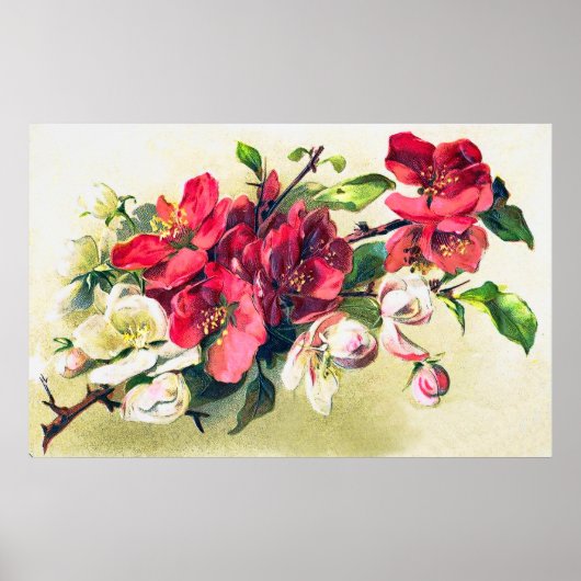 Poster sur les fleurs d'Apple (Devant)