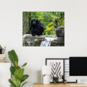 Poster sur les primates et les chutes d'eau (Bureau à domicile)