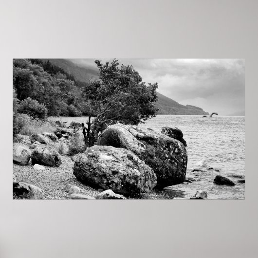 Poster Sur les rives du Loch Ness avec le monstre (Devant)