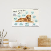 Poster sur les signes du cancer (Cuisine)