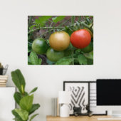 Poster sur les tomates des feux de circulation (Bureau à domicile)