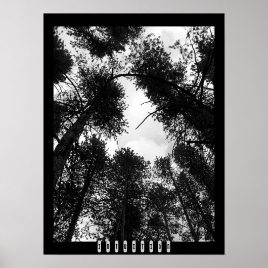 Poster sur l'intuition (Devant)